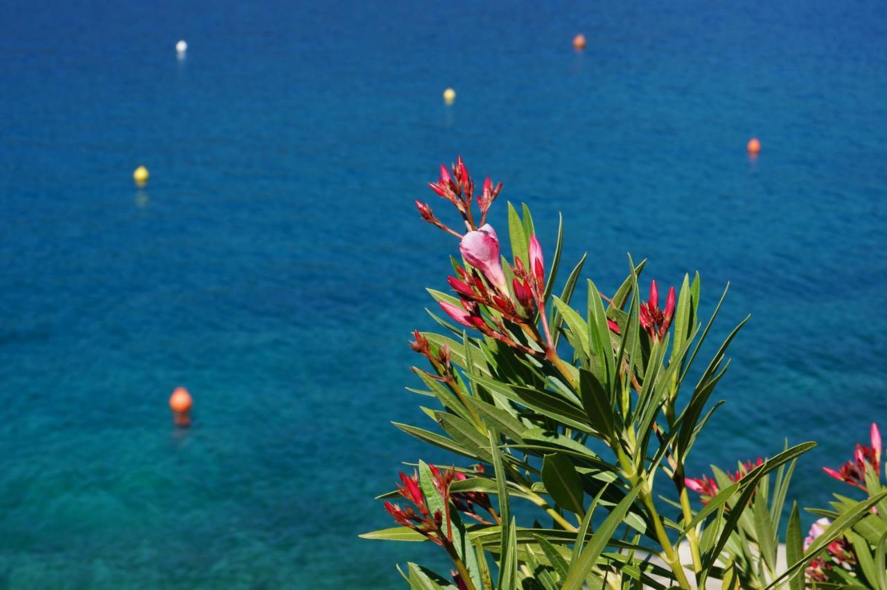 Apartment Rosanna - Intermezzo In Center Of Rabac